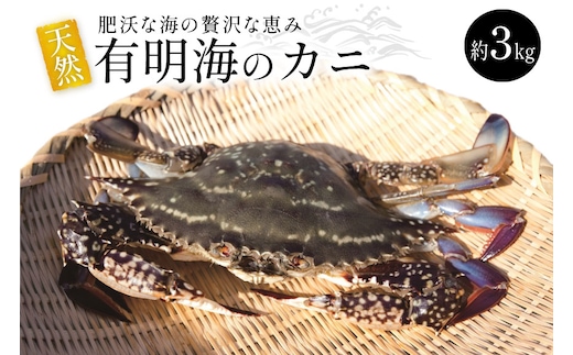 BA061 天然の好漁場・肥沃な海の贅沢な恵み 有明海のカニ [ かに カニ 蟹 ワタリガニ 渡り蟹 ガネ 冷蔵 島原漁業協同組合 長崎県 島原市 ]