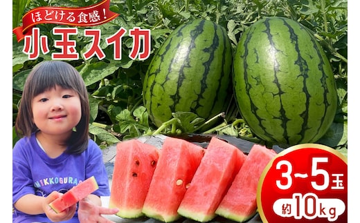 AJ462 【令和8年度出荷分】 Farm honda 小玉スイカ 3～5玉 約10kg [ 先行予約 数量限定 小玉 スイカ 西瓜 フルーツ 果物 長崎 長崎県 島原市 ]