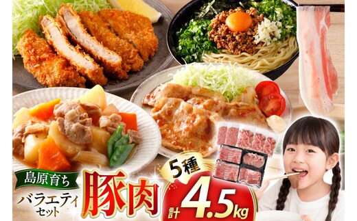 AJ666 島原育ちの豚肉セット 計4.5kg [ 豚肉 ぶた 豚ロース とんかつ用 豚バラ しゃぶしゃぶ 薄切り 豚小間 こま切れ 豚ミンチ セット 小分け バラエティ スターゼン株式会社 長崎県 島原市]