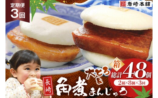 BJ068 岩崎本舗 【3回定期便】長崎角煮まんじゅう 8個入 (箱) ・ 大とろ角煮まんじゅう 8個入 (箱) [長崎県 島原市]