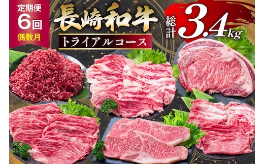 AJ669 【6回定期便】長崎和牛 トライアルコース [ 長崎和牛 和牛 お肉 肉 牛 牛肉 国産 ステーキ 焼肉 もも ロース すき焼き しゃぶしゃぶ サーロイン カルビ ミンチ ひき肉 水田精肉店 長崎県 島原市 ]