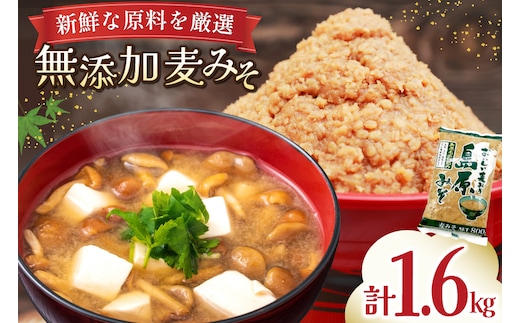 AJ473 島原みそ 無添加(麦) 800g 2袋 [ みそ 味噌 ミソ 麦味噌 麦みそ 調味料お味噌 無添加 ナチュラル おいしい 島原みそ株式会社 長崎県 島原市]