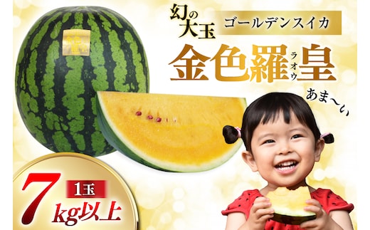 ペルピンズさんにご紹介いただきました【令和9年度出荷分】幻のゴールデンスイカ！～金色羅皇（ラオウ）～（7kg以上） [先行予約 数量限定 すいか スイカ 西瓜 らおう 羅王 フルーツ 果物 長崎 長崎県 島原市 CG075]