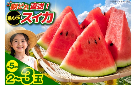 【令和8年度出荷分】BE275 黒小玉スイカ「ひとりじめBonBon」 5kg(1.7kg以上×2～3玉) ～名水百選の里 島原産～ [ Bunkou Farms 島原 合同会社 島原市 BE275 ]