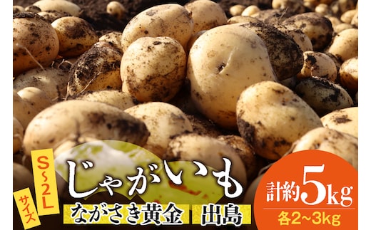 AK077 じゃがいも ながさき黄金 出島 じゃがいも食べ比べセット 計5kg [ 野菜 芋 ジャガイモ じゃがいも 5キロ ほくほく 国産 常備野菜 合同会社YT 長崎県 島原市 ]