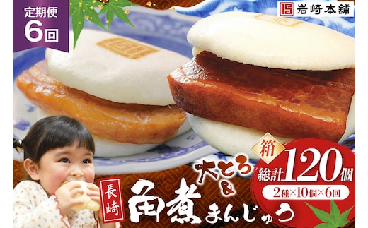 BJ077 岩崎本舗 【6回定期便】長崎角煮まんじゅう 10個入・大とろ角煮まんじゅう 10個入 (箱) [長崎県 島原市]