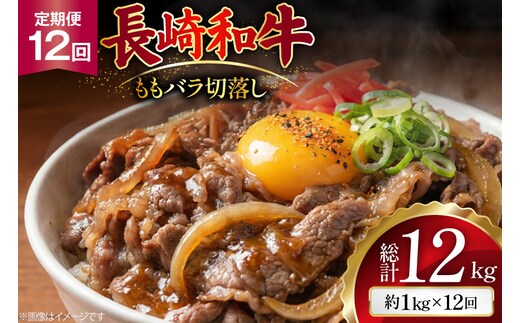 AJ579 【12回定期便】長崎和牛 切り落とし (もも・バラ) 約1kg (500g×2P) [ 肉 牛肉 和牛 高級 おいしい ステーキ肉 まるしん商会 黒牛 長崎県 島原市 ]