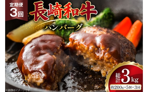 AJ586 【3回定期便】長崎和牛 ハンバーグ 約1kg (200g×5個) [ 肉 牛肉 和牛 おいしい ひき肉 焼くだけ おかず まるしん商会 黒牛 長崎県 島原市 ]