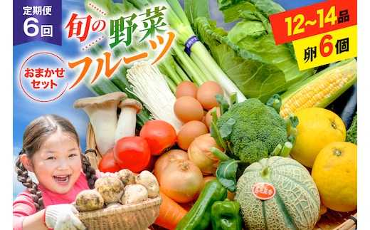 BF058 【6回定期便】旬の野菜・フルーツ (12～14品目)・卵 (6個) おまかせ セット【 野菜 果物 卵 やさい くだもの 果物 タマゴ たまご 詰め合わせ 江戸屋 長崎県 島原市 】