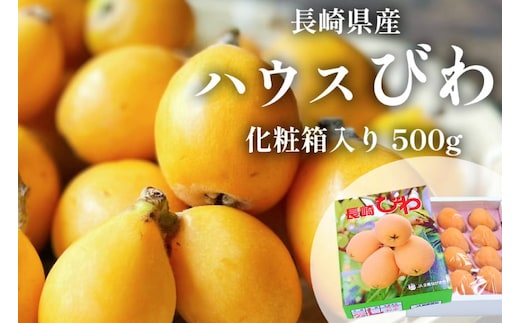 AH093 【期間限定発送】長崎県産 ハウスびわ 約500g 化粧箱入り [ フルーツ 果物 くだもの びわ ビワ 枇杷 数量限定 季節限定 初夏 冷蔵 長崎県 島原市 ]