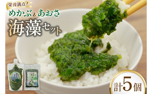 AI194 めかぶ 3パック あおさ 2パック セット 計950g [ めかぶとろろ 塩蔵あおさ 海藻 小分け あおさのり あおさ海苔 有明海 有明産 有明海産 みそ汁 うどん 冷凍海藻 ごはんのお供 長崎県 島原市 ]