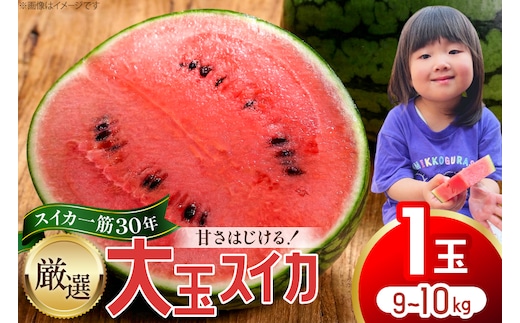 BJ698 【令和9年出荷分】 Farm honda 大玉スイカ 1玉 9kg〜10kg [ スイカ すいか 西瓜 大玉すいか 肥後浪漫 羅皇ザ・スイート 羅王 ラオウ らおう あまい 本多光則農園 長崎県 島原市]