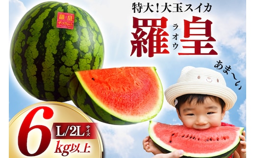 AH167【令和8年度出荷分】絶品！大玉スイカ ～ 羅皇（ ラオウ ）～（ L/2Lサイズ 6kg以上 ）[ スイカ すいか らおう 羅王 大玉 野菜 果物 フルーツ 吉田農園 長崎県 島原市 ]