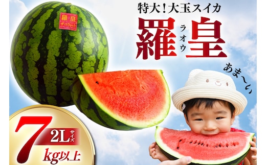 BG059【令和8年度出荷分】絶品！大玉スイカ～羅皇（ラオウ）～（7～10kg）[ 先行予約 数量限定 すいか スイカ 西瓜 らおう 羅王 フルーツ 果物 長崎 長崎県 島原市] 