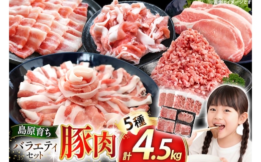 AJ666 島原育ちの豚肉セット 計4.5kg [ 豚肉 ぶた 豚ロース とんかつ用 豚バラ しゃぶしゃぶ 薄切り 豚小間 こま切れ 豚ミンチ セット 小分け バラエティ スターゼン株式会社 長崎県 島原市]