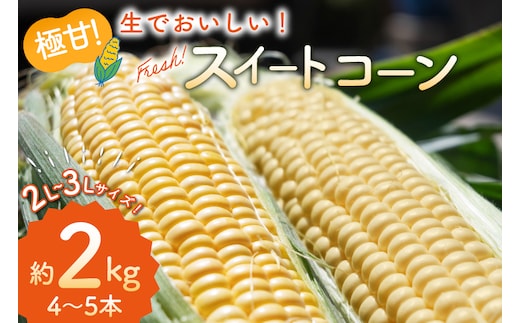 BJ454【令和9年度出荷分】 とうもろこし スイートコーン イエロー 2L～3Lサイズ 4本～5本 約2kg [ トウモロコシ コーン ゴールドラッシュ 野菜 2キロ さかいさんち SAKAI FARM 長崎県 島原市 ]
