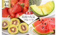 BG083【全4回】厳選！島原の人気フルーツ定期便