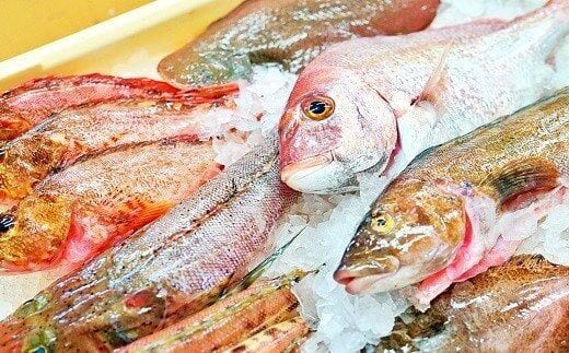 AA036プリッと身が引き締まった 島原の海の幸セット