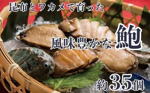 AA060たっぷりの海藻ミネラルで育てた 島原のアワビ