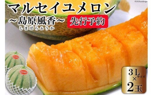 BD201【令和8年度出荷分】マルセイユメロン～島原風香～（3L×2玉） [農事組合法人 『舞岳の里』生産組合 長崎県 島原市 BD201] メロン 赤肉 果物 くだもの フルーツ 産地直送