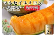 BD201【令和8年度出荷分】マルセイユメロン～島原風香～（3L×2玉） [農事組合法人　『舞岳の里』生産組合 長崎県 島原市 BD201] メロン 赤肉 果物 くだもの フルーツ 産地直送