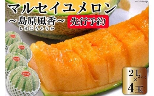 BD203【令和8年度出荷分】マルセイユメロン～島原風香～（2L×4玉） [農事組合法人 『舞岳の里』生産組合 長崎県 島原市 BD203] メロン 赤肉 果物 くだもの フルーツ 産地直送