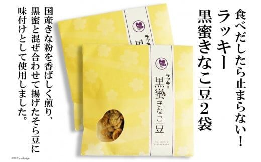 DE105 ラッキー 黒蜜きなこ豆(85g) 2袋 [ 黒蜜 きなこ 2袋 おすすめ おやつ 九州 長崎県 島原市 ]