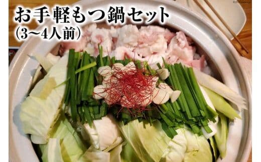 AE248お手軽もつ鍋セット（3～4人前）