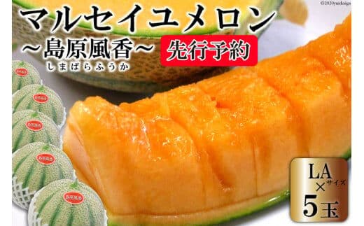 BE160【令和8年度出荷分】マルセイユメロン～島原風香～（LA×5玉） [農事組合法人 『舞岳の里』生産組合 長崎県 島原市 BE160] メロン 赤肉 果物 くだもの フルーツ 産地直送
