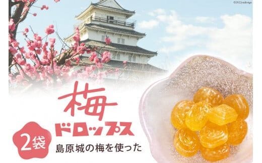 DF227【長崎限定】島原城の梅を使った「梅ドロップス」 2袋 [ あめ 飴 梅 うめ ウメ 限定 サクマドロップス コラボ 2袋 長崎県 島原市 ]