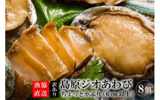 AF030【訳あり】漁協直送！島原ジオあわび 8個（ちょっと小ぶり：6cm以上）