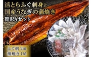 AF049活とらふぐ刺身と国産うなぎの蒲焼き贅沢Aセット（ふぐ刺2皿・蒲焼き1尾）