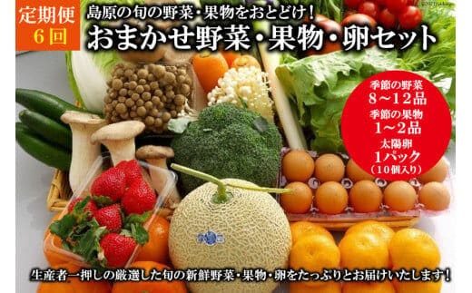 AF058【定期便】【6回】島原の旬の野菜・果物！おまかせ野菜・果物・卵セット