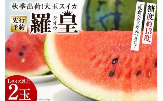 CF164【令和8年度出荷分】秋季出荷！大玉スイカ～羅皇（ラオウ）～（Lサイズ6kg以上×2玉入）[先行予約 数量限定 すいか スイカ 西瓜 フルーツ 果物 長崎 長崎県 島原市]