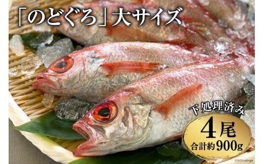 EF090「のどぐろ」大サイズ（200～250g） 4尾 ＜煮付け・塩焼き用＞