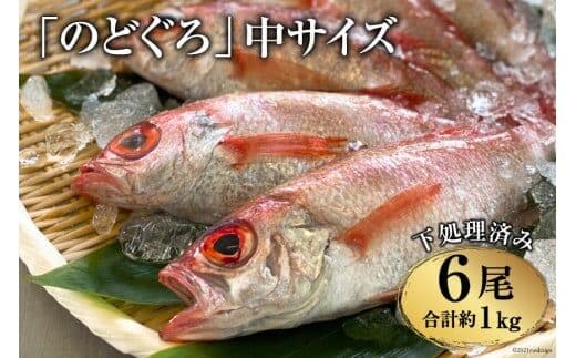 EF091「のどぐろ」中サイズ（160～180g） 6尾 ＜煮付け・塩焼き用＞