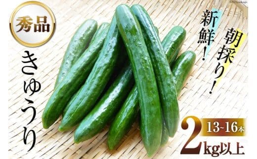 AG063【令和8年度出荷分】【秀品】新鮮 朝採りきゅうり 2kg以上 [ きゅうり 野菜 サラダ 漬物 酢の物 長崎県 島原市 ]