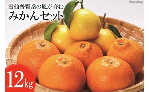 CA040 雲仙普賢岳の風が育む みかんセット 12kg [みかん ミカン 旬 12キロ 長崎県 島原市]