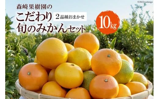 CC003 森崎果樹園のこだわり旬のみかんセット 10kg [みかん ミカン 旬 10キロ 長崎県 島原市]