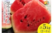 【令和8年度出荷分】BE275 黒小玉スイカ「ひとりじめBonBon」 5kg(1.7kg以上×2～3玉) ～名水百選の里 島原産～ [ Bunkou Farms 島原 合同会社 島原市 BE275 ]