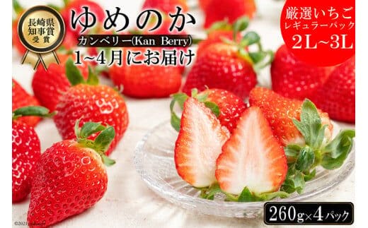 【期間限定発送】DE178 長崎県知事賞受賞【 厳選 いちご 】「 ゆめのか （2L～3L）」 260g × 4パック ＜1～4月にお届け＞