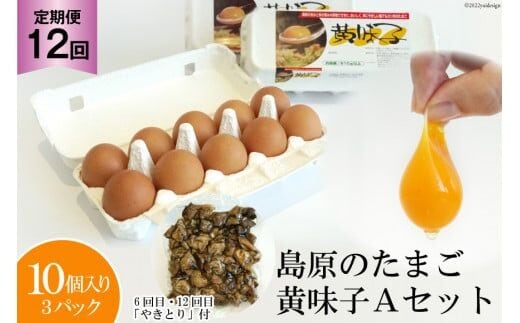 BE291【定期便】島原のたまご 黄味子Ａセット 計12回お届け