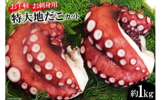 DF083【お手軽 お刺身用】長崎県産 特大地だこ カット 約1kg