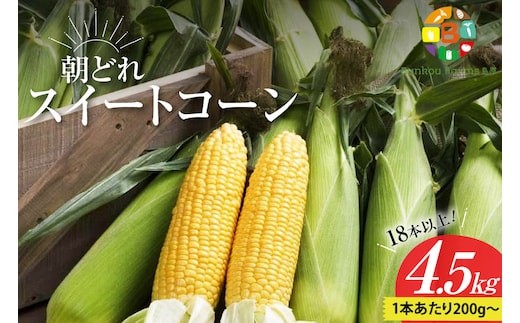 BG035 【令和8年度出荷分】5月下旬から出荷！ 朝どれ スイートコーン 200g以上×18本以上 4.5kg ～名水百選の里 島原産～