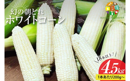 BG036 【令和8年度出荷分】6月中旬から出荷！ 幻の朝どれ ホワイトコーン 200g以上×18本以上 4.5kg ～名水百選の里 島原産～