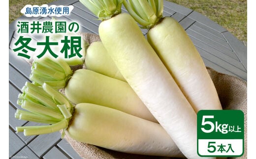 AG081 酒井農園の冬大根 5kg以上（5本入）