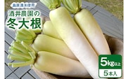 AG081 酒井農園の冬大根 5kg以上（5本入）