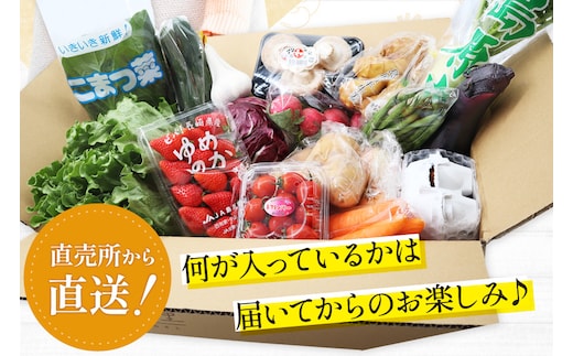 CD038 野菜 フルーツ 定期便12回 旬のおまかせセット 野菜 フルーツ13