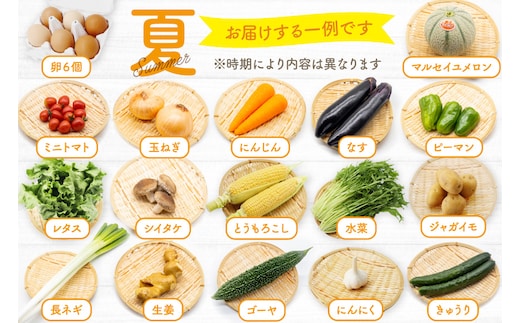 CD038 野菜 フルーツ 定期便12回 旬のおまかせセット 野菜 フルーツ13