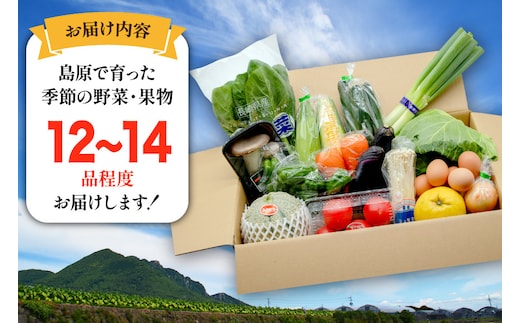 totomon様 野菜セット 果物1 お米5kg 卵2 BF059 野菜 フルーツ 定期便12回 おまかせセット 野菜 フルーツ12～14